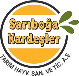 Sarıboğa Kardeşler